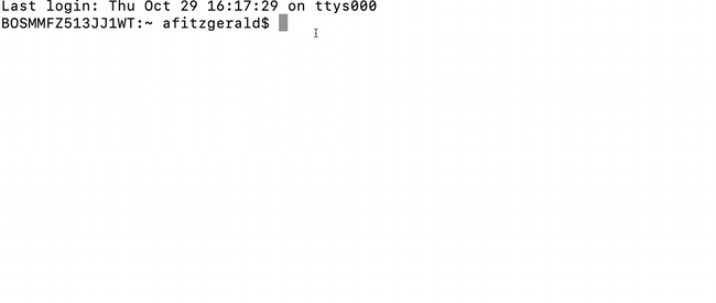 IP address of website searched in Terminal application on Mac computer